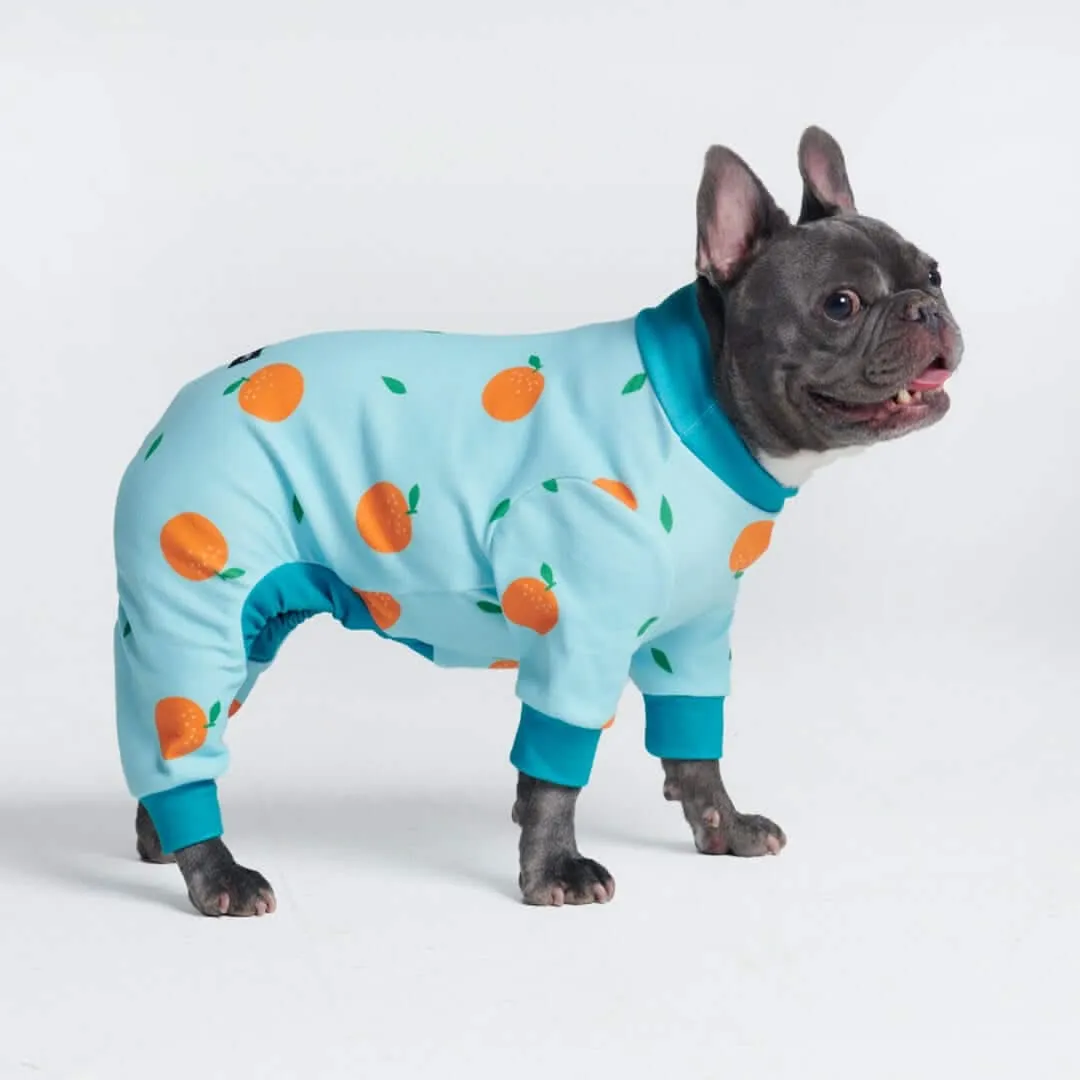 Dog Pajama Prints