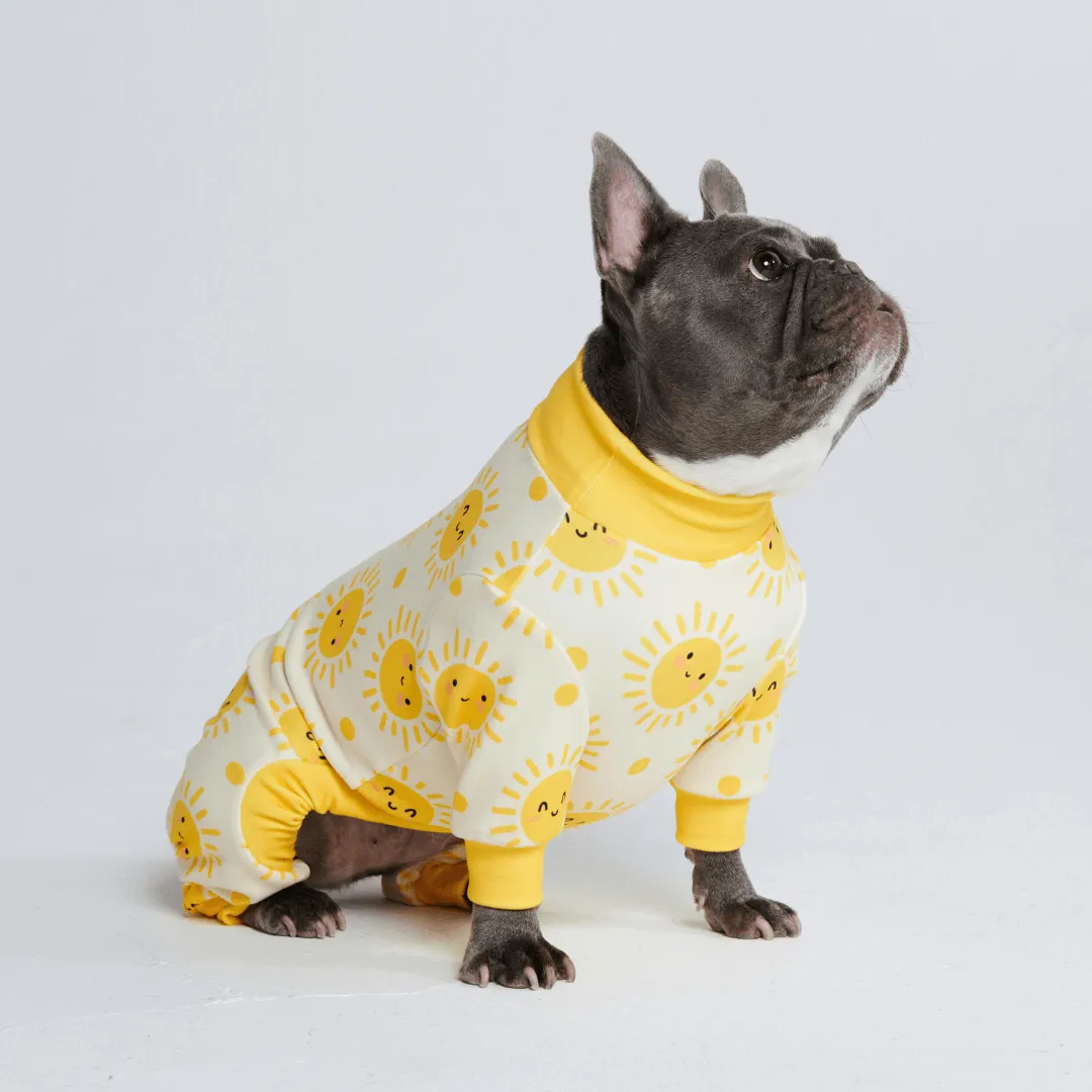 Dog Pajama Prints