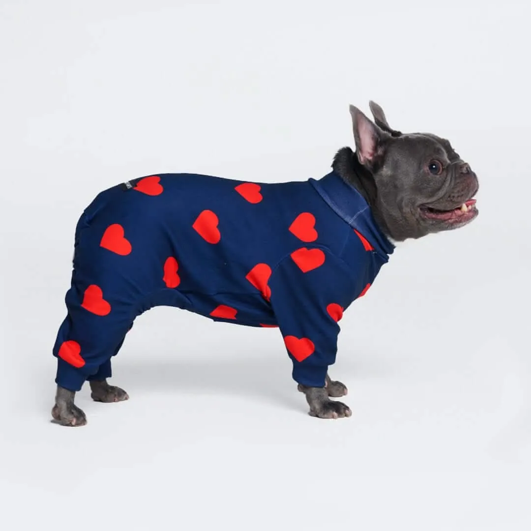 Dog Pajama Prints