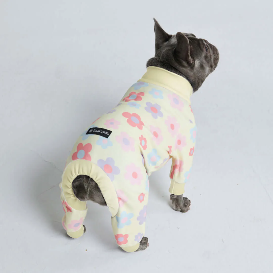 Dog Pajama Prints