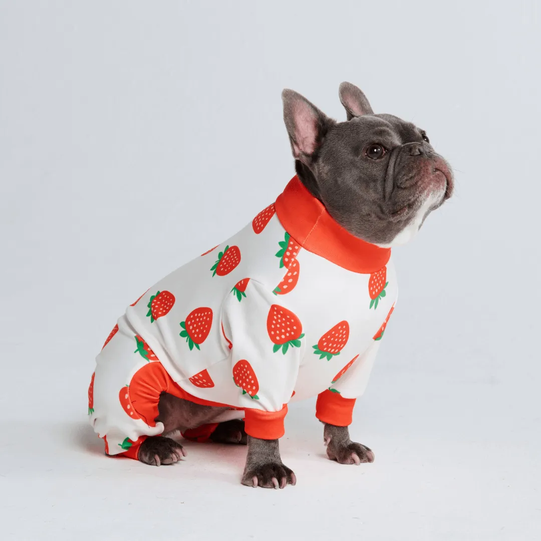 Dog Pajama Prints