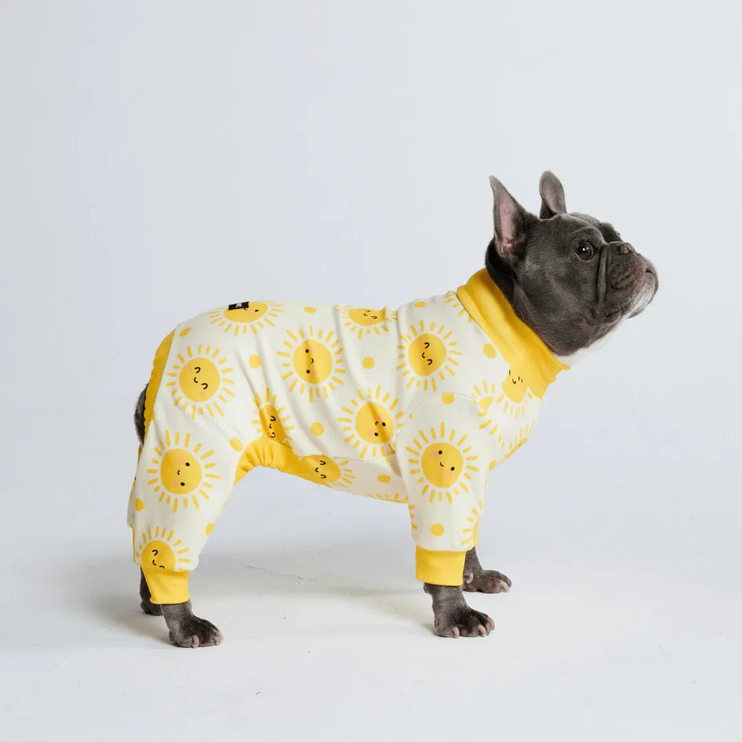 Dog Pajama Prints