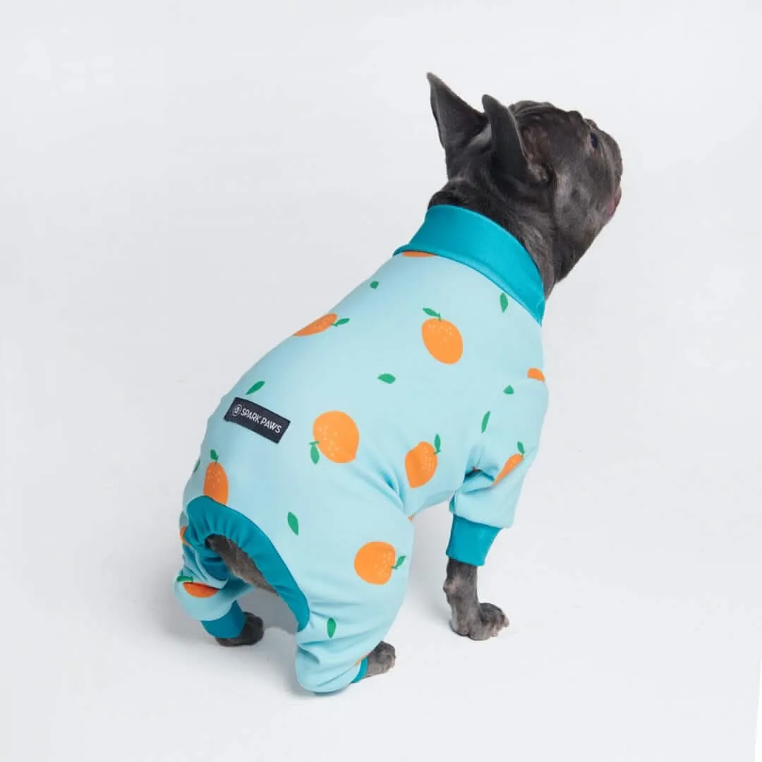 Dog Pajama Prints