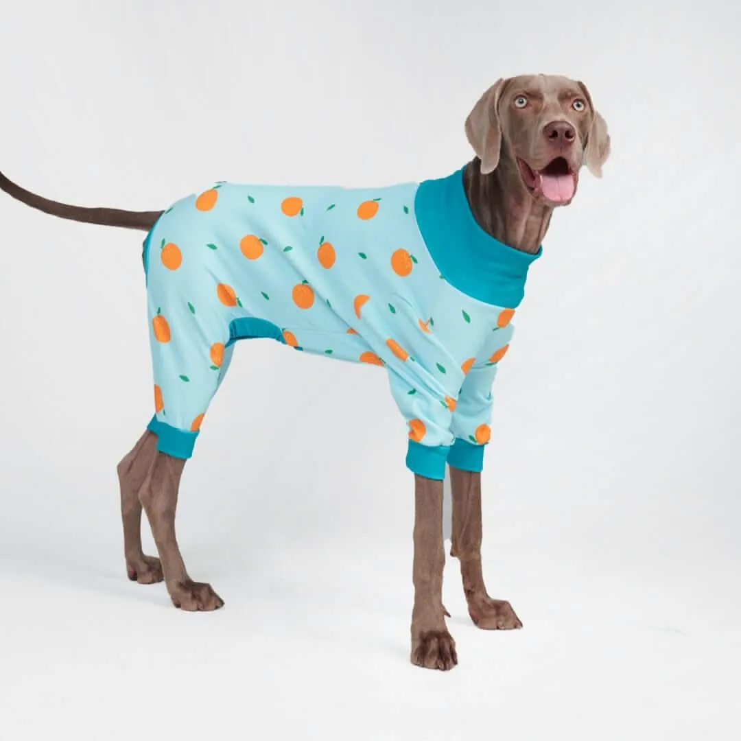 Dog Pajama Prints