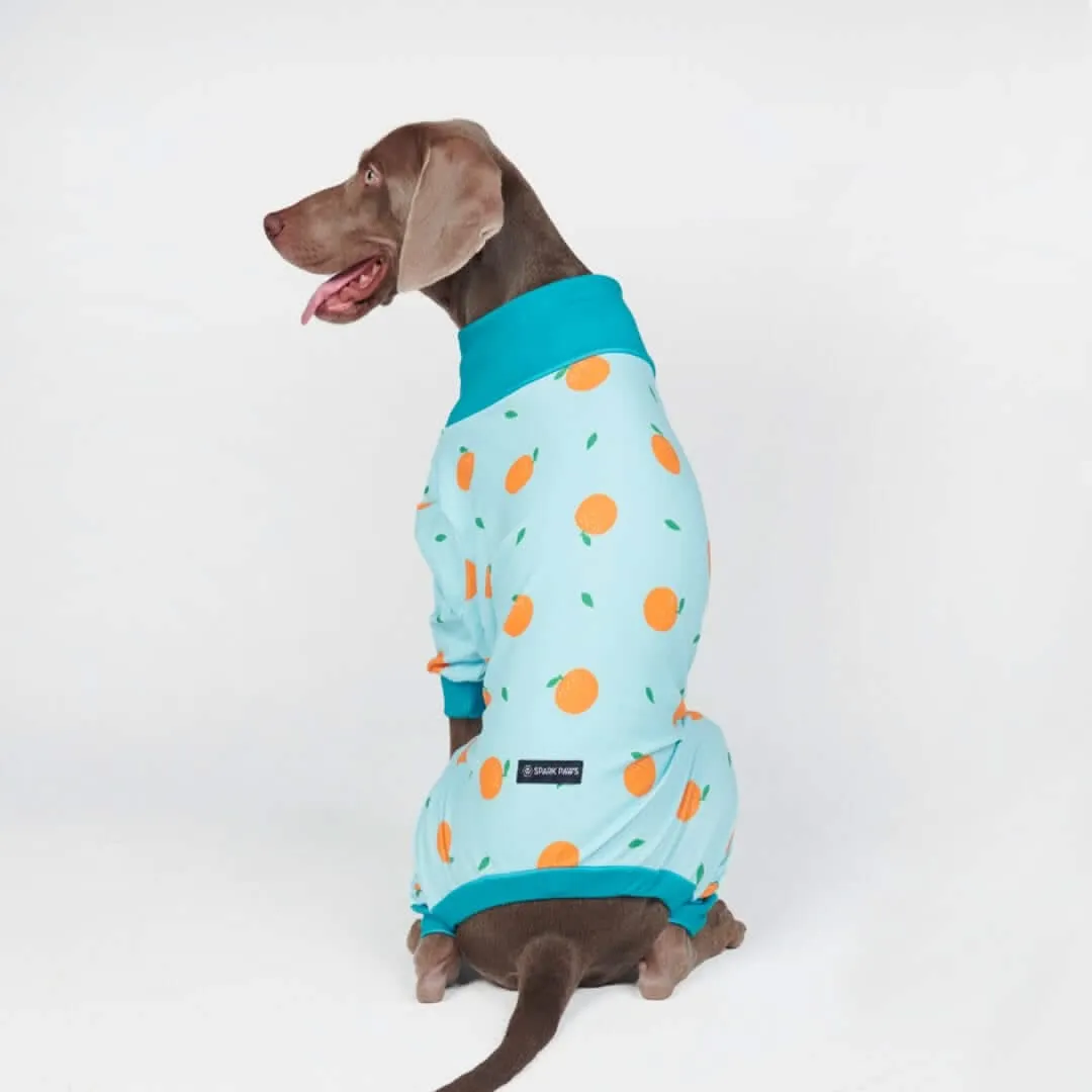 Dog Pajama Prints