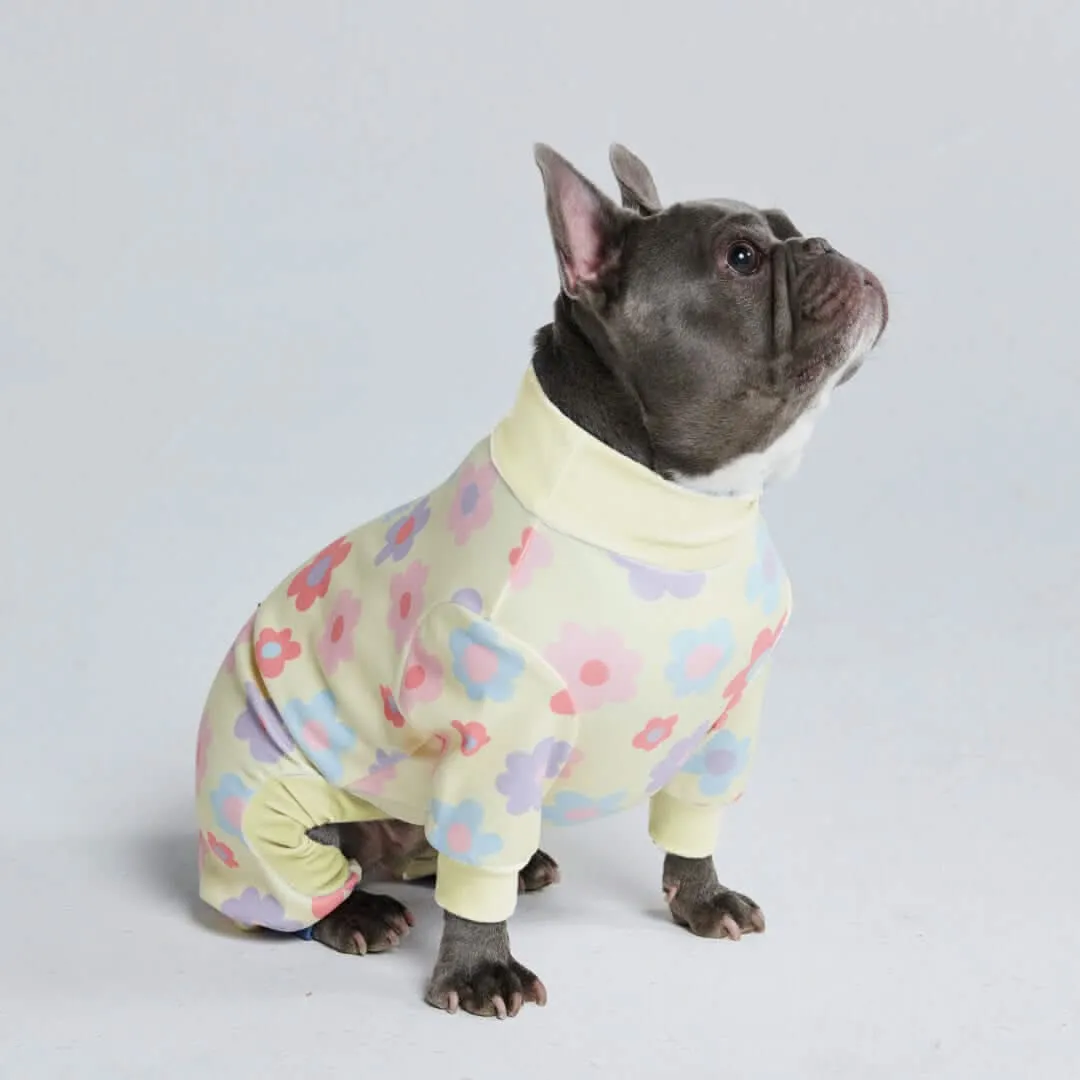 Dog Pajama Prints