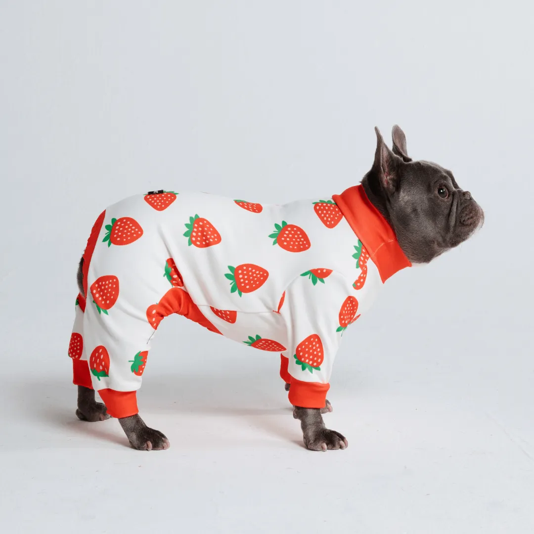 Dog Pajama Prints