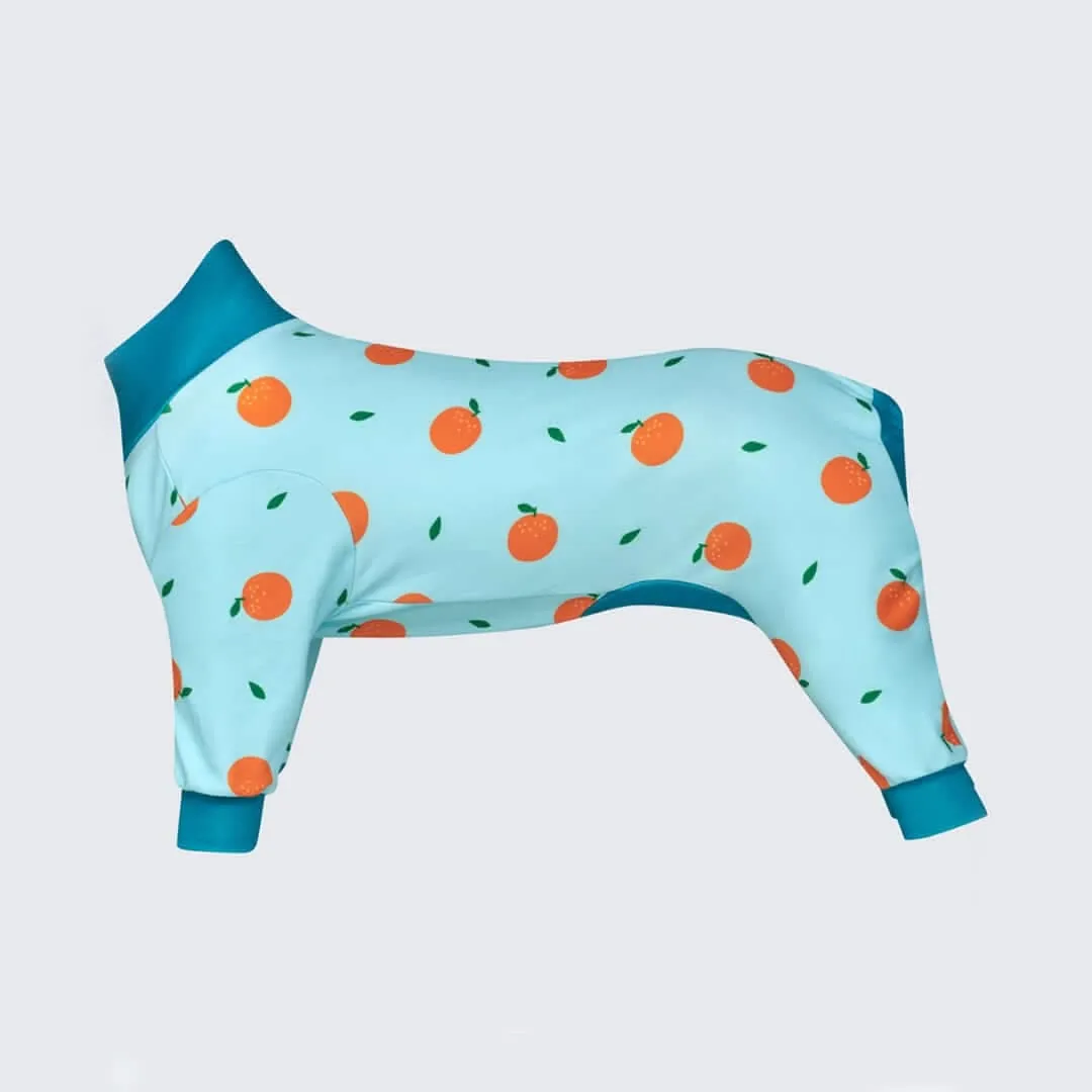 Dog Pajama Prints