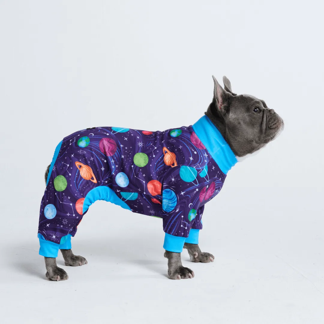 Dog Pajama Prints