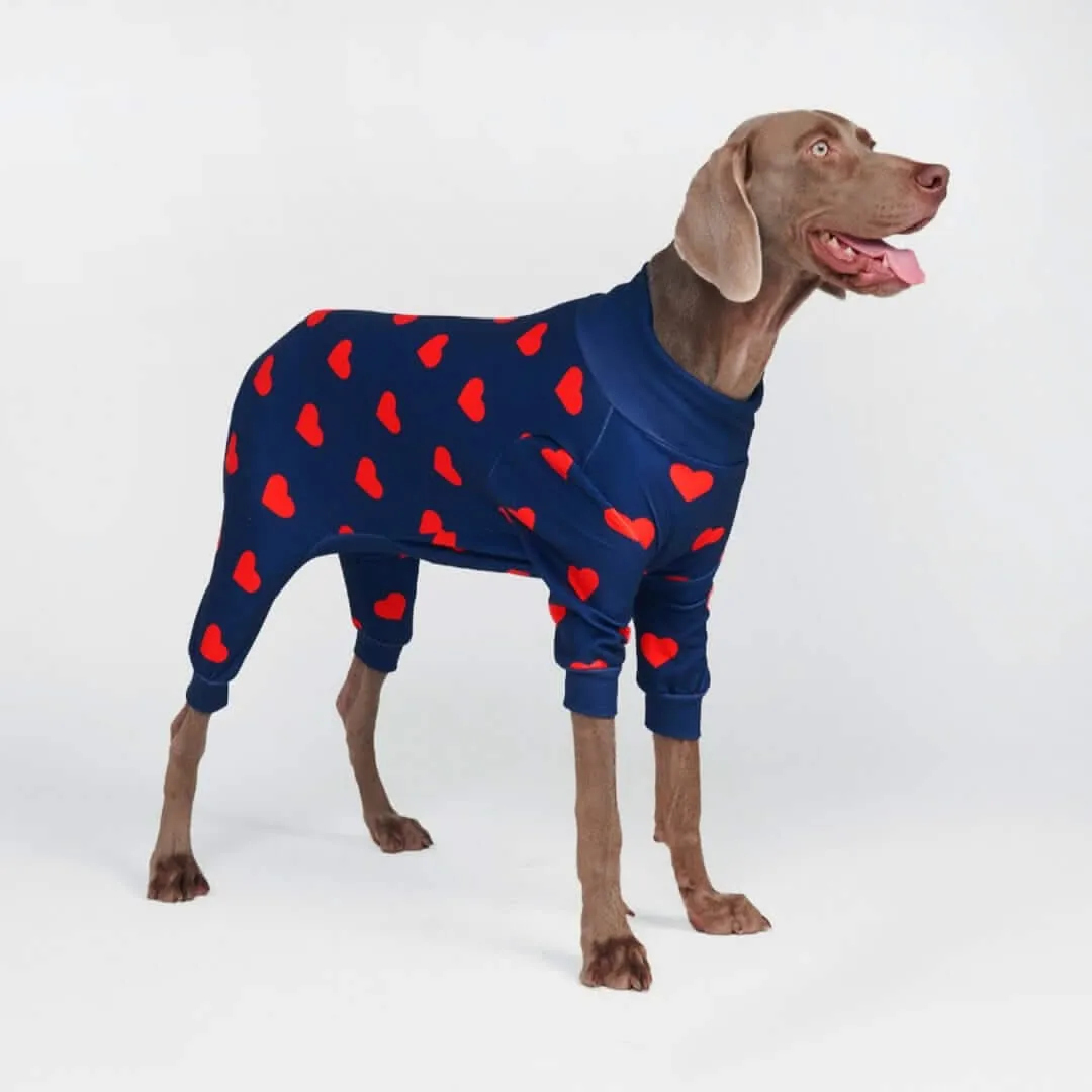 Dog Pajama Prints