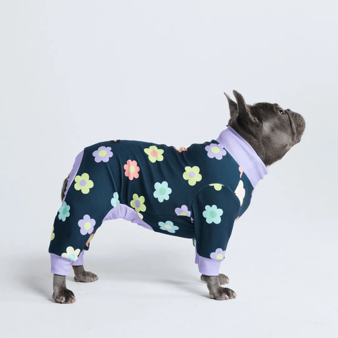 Dog Pajama Prints