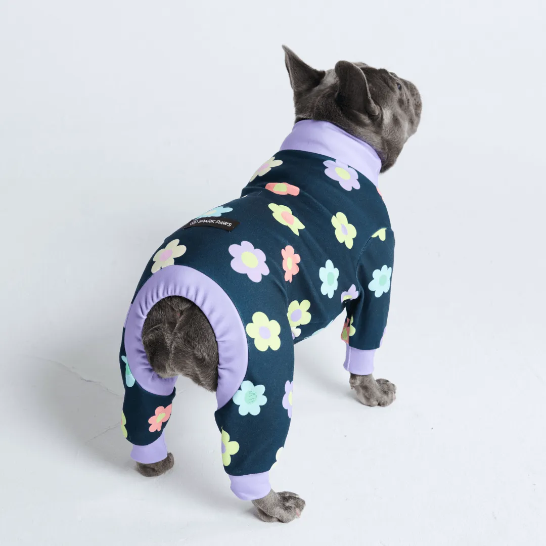 Dog Pajama Prints