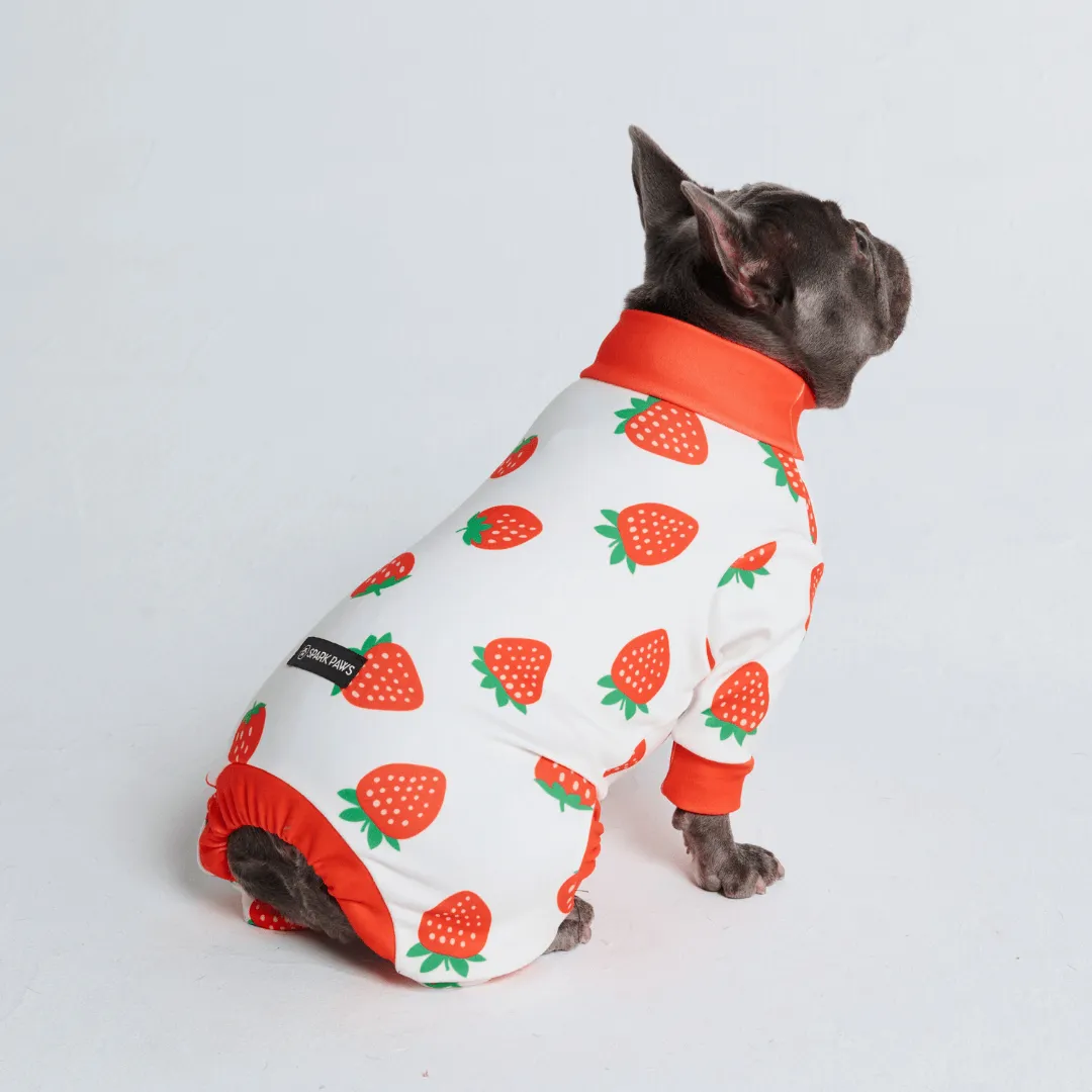 Dog Pajama Prints