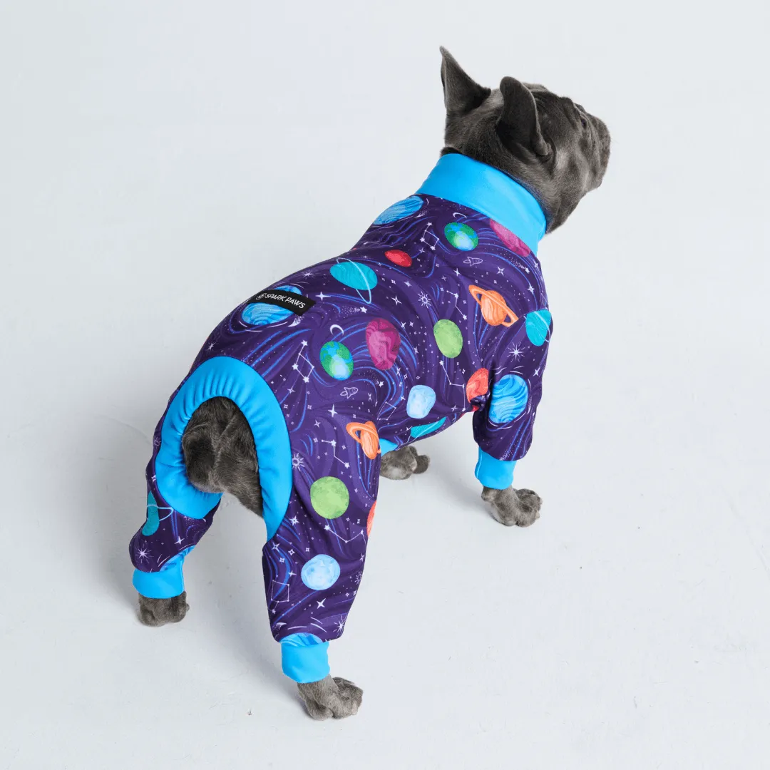 Dog Pajama Prints